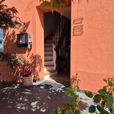 Haus Meersburg Rebe מראה חיצוני תמונה